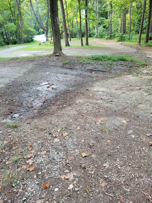 Goose Dam Campground Picture 10