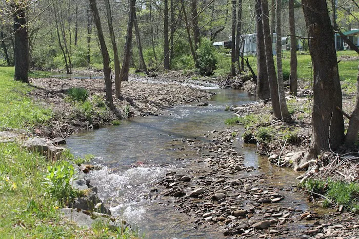 Gheny Nook Campground Picture 9