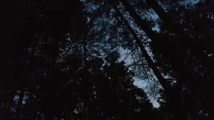 Paradise Campground Picture 1