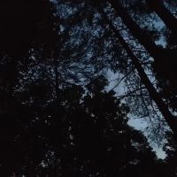 Paradise Campground ico