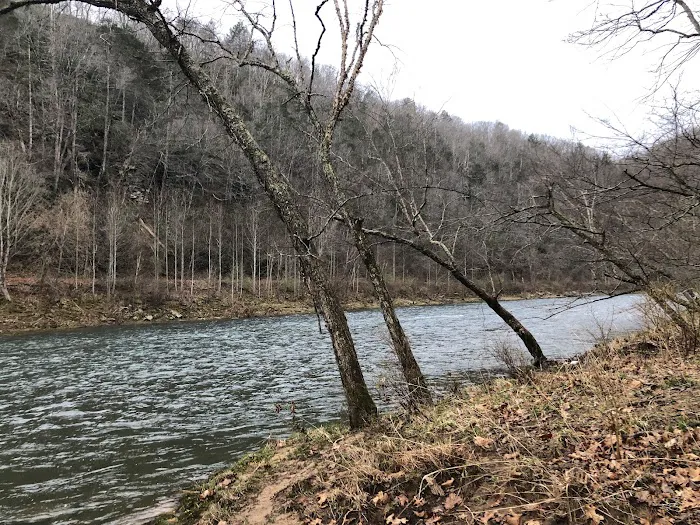 Riverside Campground Picture 5