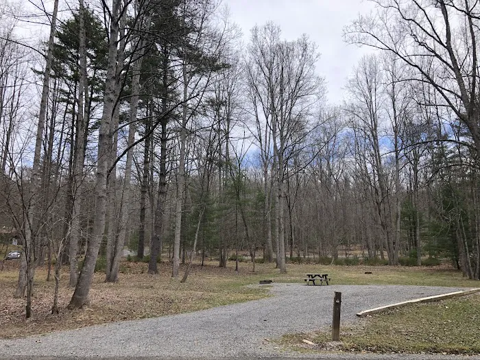 Riverside Campground Picture 6