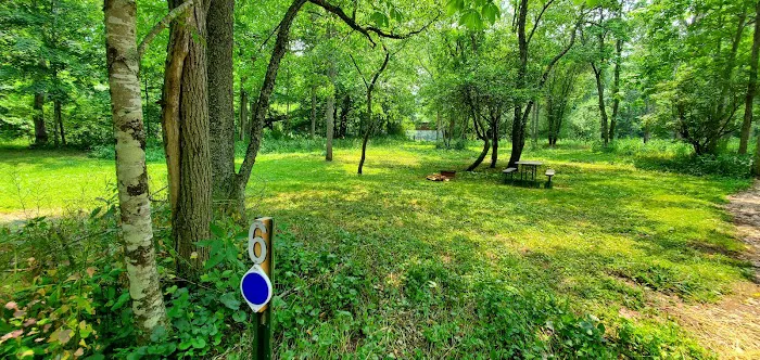 River Trail Hollow Campground Picture 4