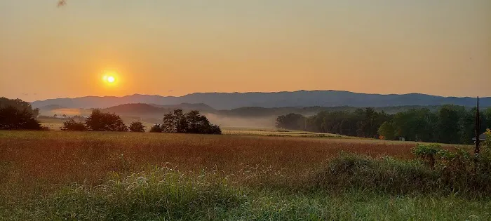 US Forest Service Picture 1