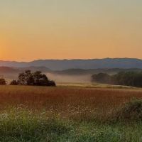 US Forest Service ico