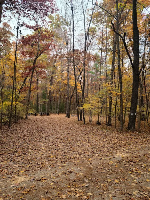 Steel Bridge Campground Picture 4