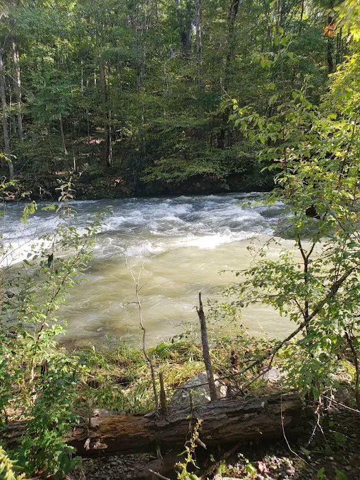 Steel Bridge Campground Picture 5