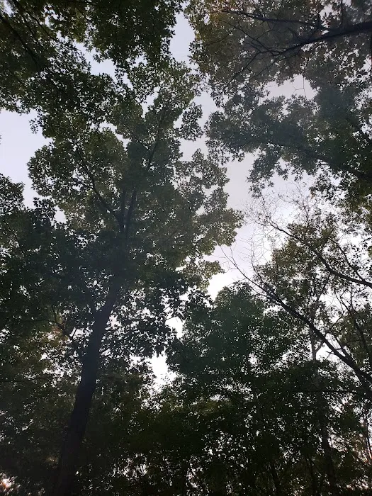 Steel Bridge Campground Picture 6