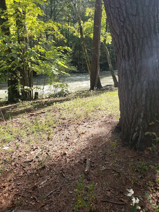 Steel Bridge Campground Picture 9