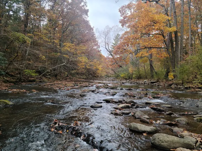 Steel Bridge Campground Picture 2