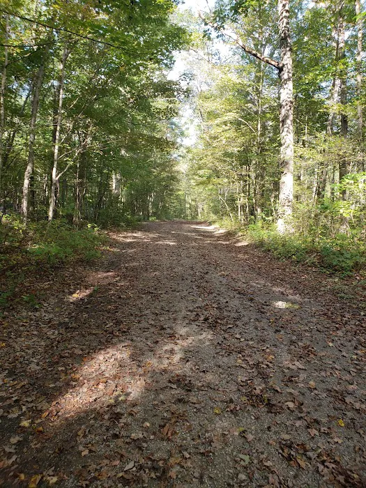 Steel Bridge Campground Picture 8