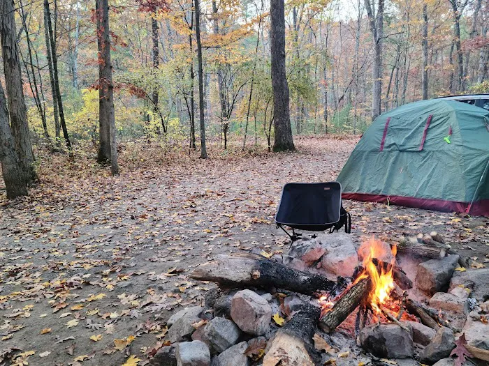Steel Bridge Campground Picture 3