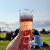 Country Campground ico