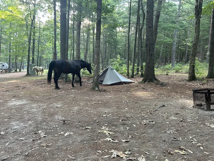 Country Campground Picture 2