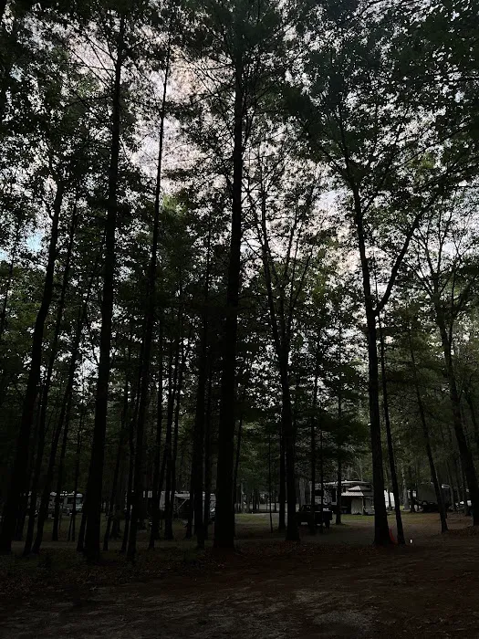 Country Campground Picture 10