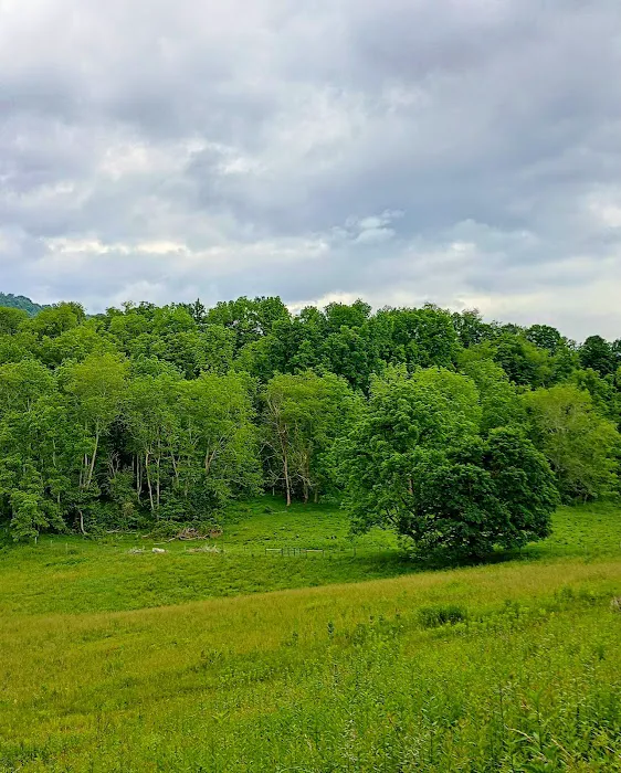 Adaptive Outdoor Adventures Picture 3