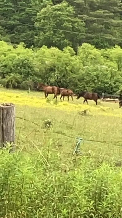 Adaptive Outdoor Adventures Picture 1