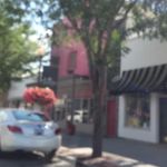 US Forestry Department