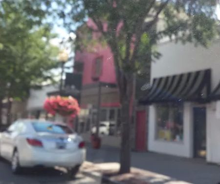 US Forestry Department