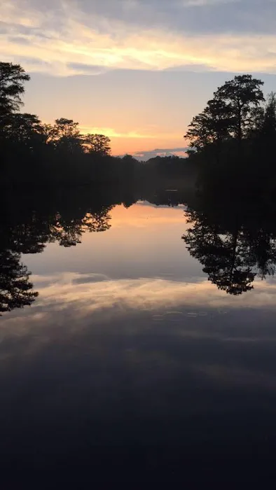 Tranter's Creek Resort Picture 6
