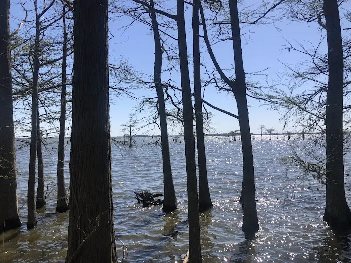Osprey Nest Campground Picture 4