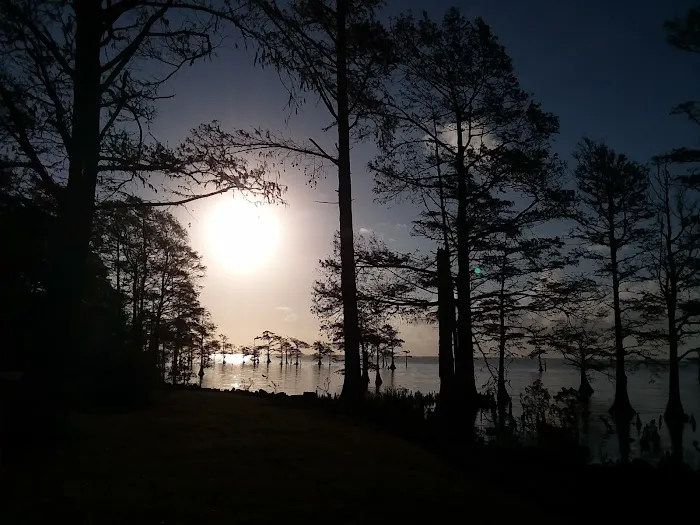 Osprey Nest Campground Picture 9