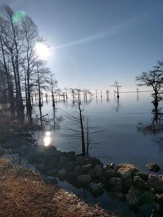 Osprey Nest Campground Picture 8
