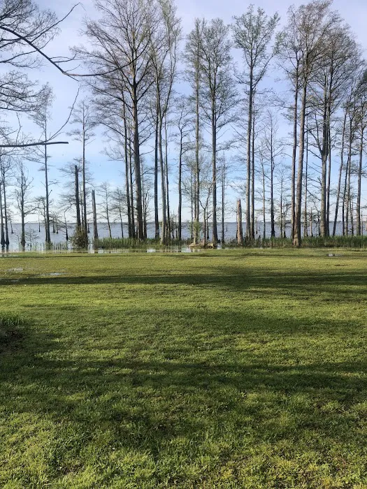Osprey Nest Campground Picture 5