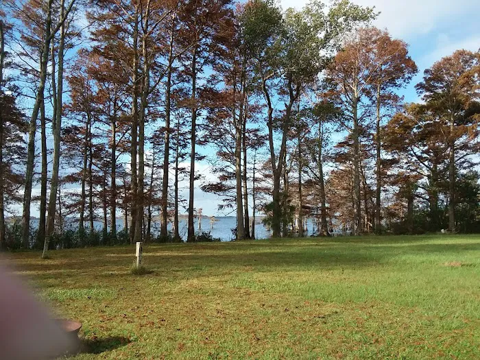 Osprey Nest Campground Picture 10