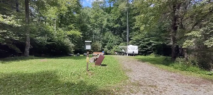 Williams River Campsite 12 Picture 2