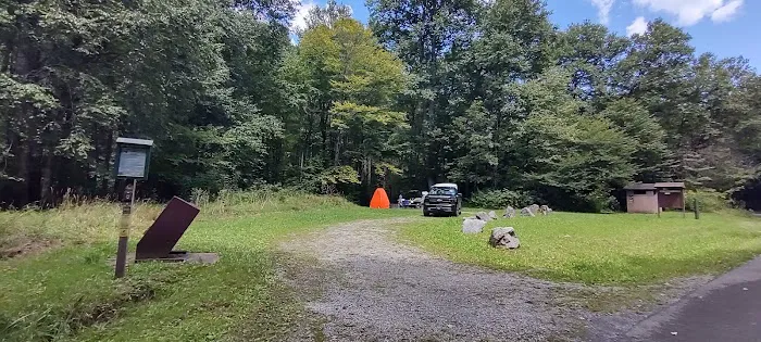 Williams River Campsite 11 Picture 1