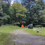 Williams River Campsite 11