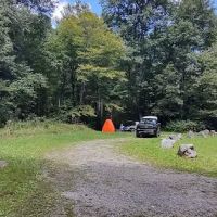 Williams River Campsite 11 ico