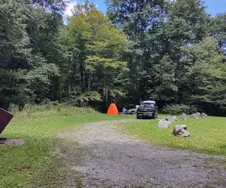 Williams River Campsite 11