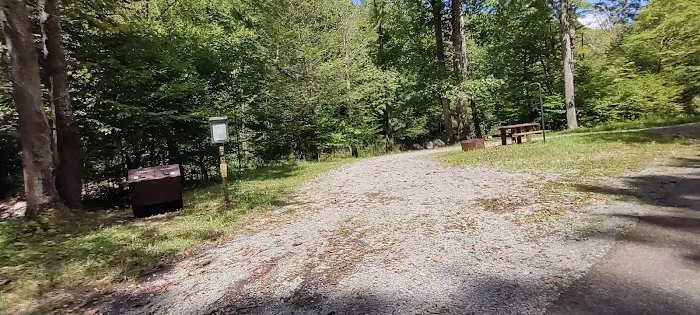 Williams River Campsite 10 Picture 2