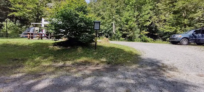 Williams River Campsite 9 Picture 1