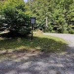 Williams River Campsite 9