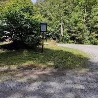 Williams River Campsite 9 ico