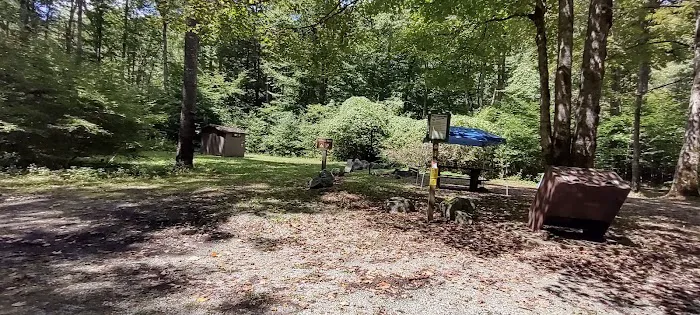 Williams River Campsite 8 Picture 1