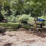 Williams River Campsite 8