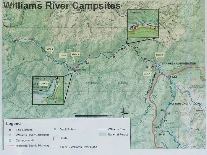 Williams River Campsite 8 Picture 2