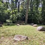 Williams River Campsite 5