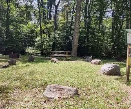 Williams River Campsite 5