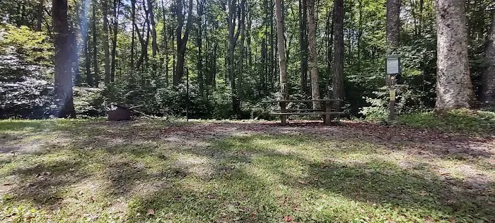 Williams River Campsite 3 Picture 1