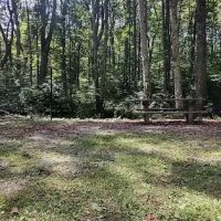 Williams River Campsite 3 ico