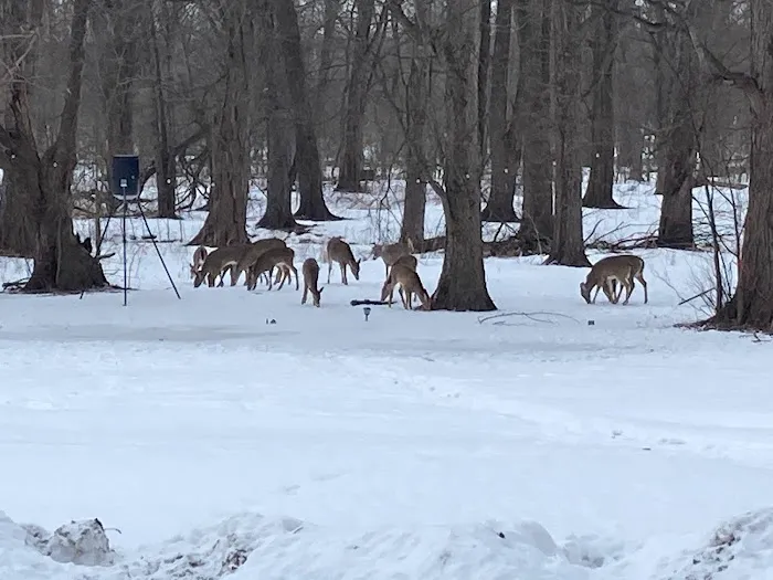 Chippewa Valley Campgrounds Picture 9