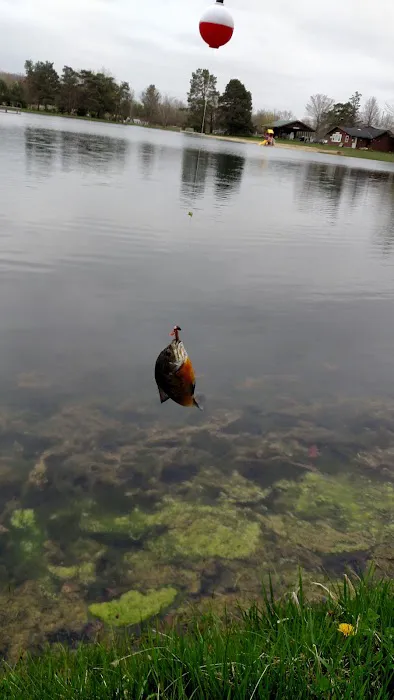 Pier-Lon Park Picture 4