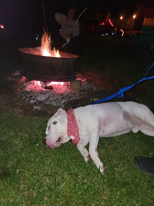 Chatham Lakes Campground Picture 10