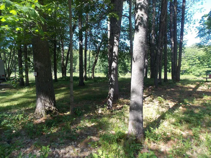 Pine Grove Campground & Cottages Picture 6