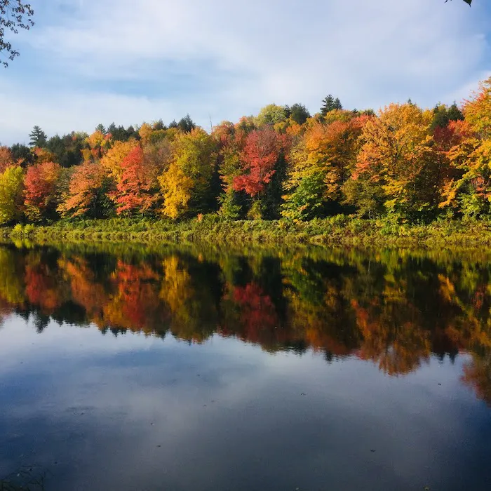 Pine Grove Campground & Cottages Picture 7